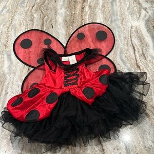 2T Ladybug Costume